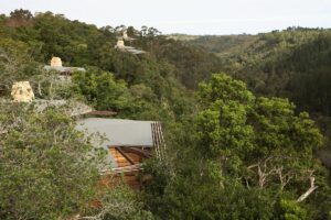 Tsala Treetop Lodge