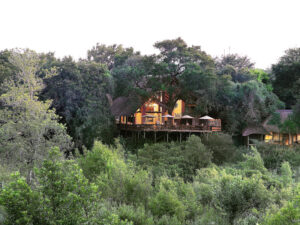 Londolozi Varty Camp