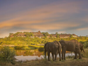 Victoria Falls Safari Lodge