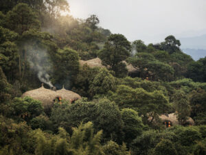 Bisate Lodge