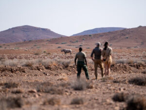Desert Rhino Camp