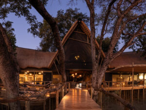 Tubu Tree Camp