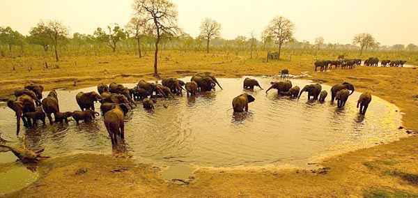 Hwange
