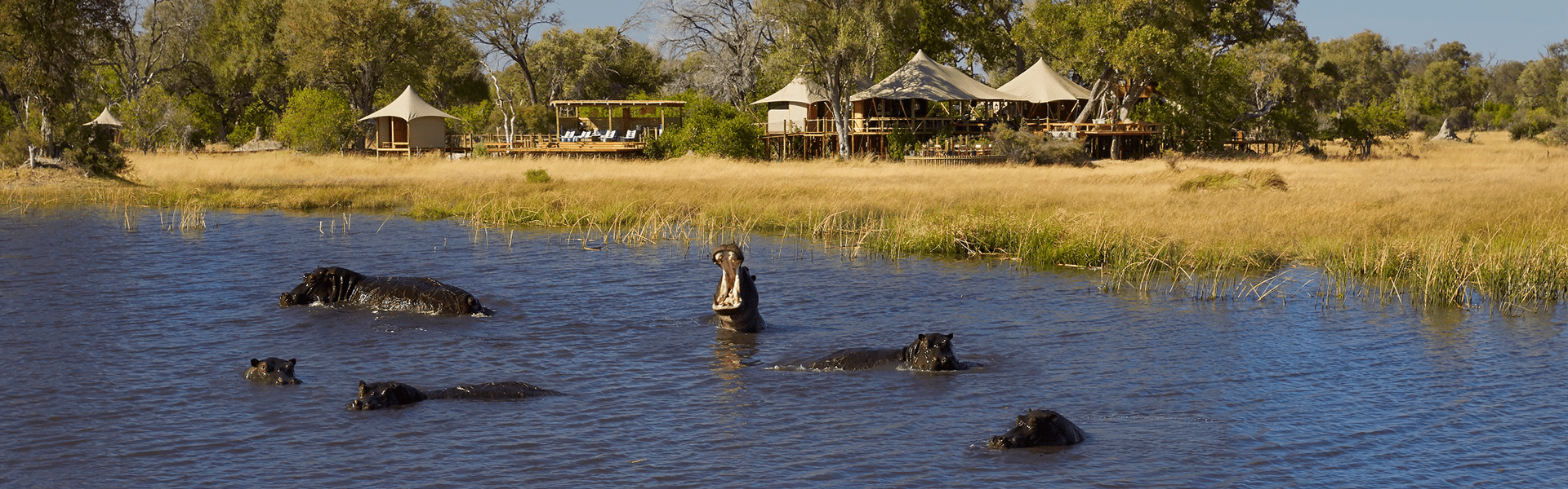Tuludi's tree-house styled tents with resident hippo pod in the lagoon