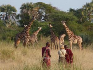 Chem Chem: The Ultimate Tanzanian Safari