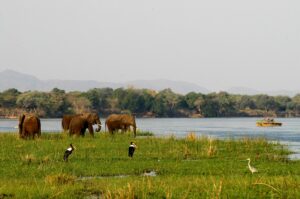 Considering Zambia?  Some thoughts from Liesl