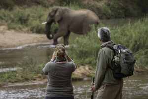 Walking Safaris