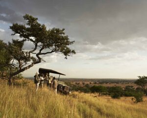 Why now is the best time for East Africa