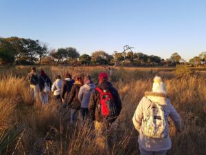 On safari in Botswana with Desert & Delta