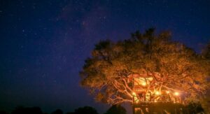 Africa’s Top 10 Romantic Star Bed Experiences