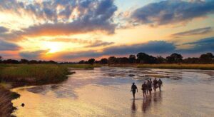 Safe Places to Visit in Africa: Our Travel Tips