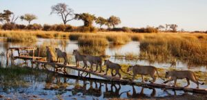 Sustainable Tourism On The Rise In Africa