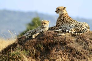 My Favorite African Places