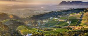 Renaissance in the Constantia Winelands