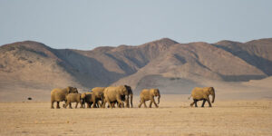 Namibia in a nutshell…continued