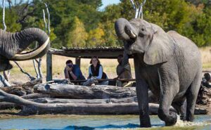 Hwange National Park – Why go