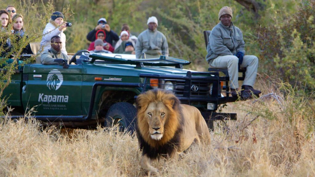 kapama-activities-kapama-game-drive