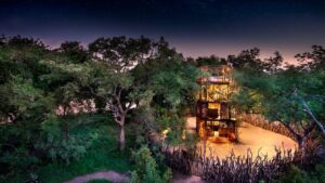 My &Beyond Safari