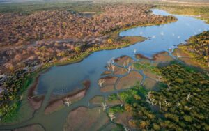 How to get the most out of the Okavango Delta