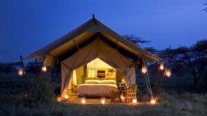 Our Top 5 Camps in the Serengeti