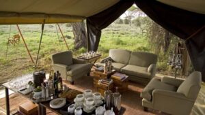 Our Top Five 2017 Serengeti Camps