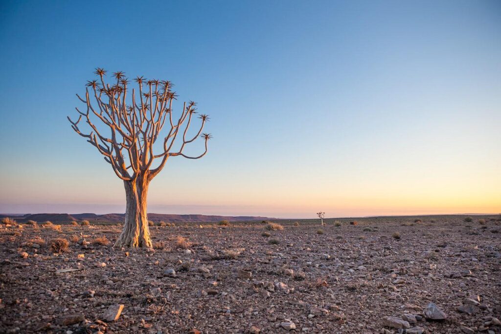 makgadigadi_pans_botswana