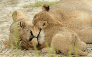 10 Best Places To Experience In South Africa