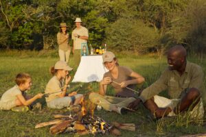 Top 5 Places To Take Kids On An African Safari