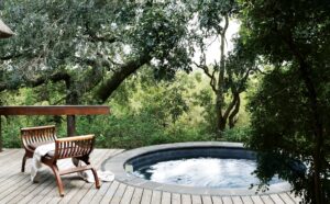 Safari Pools