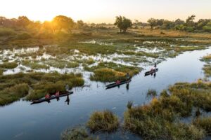 Tswalu, Botswana Safari, Cape Town & Winelands – 16 Days