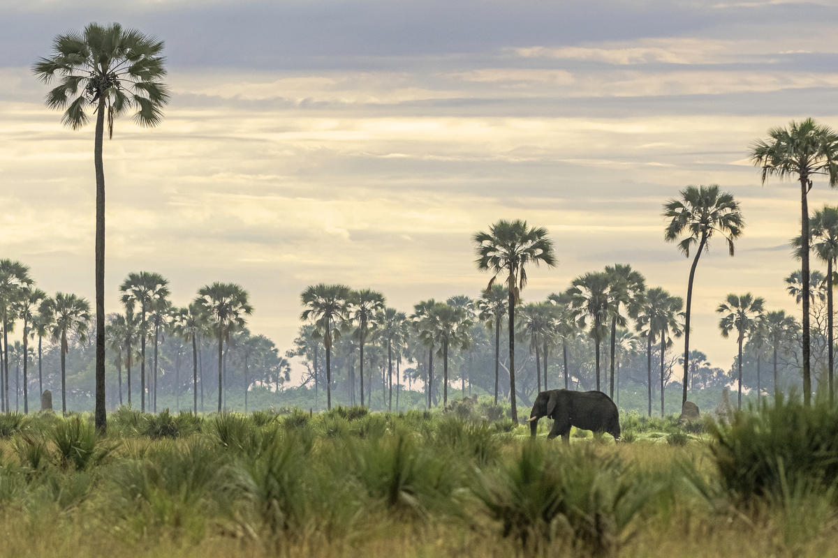 A Southern Africa Odyssey