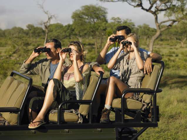 The Ultimate Safari Packing Guide: What to Bring and Insider Tips