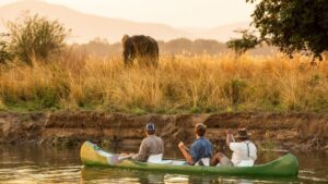 Mana Pools – Why You Should Go