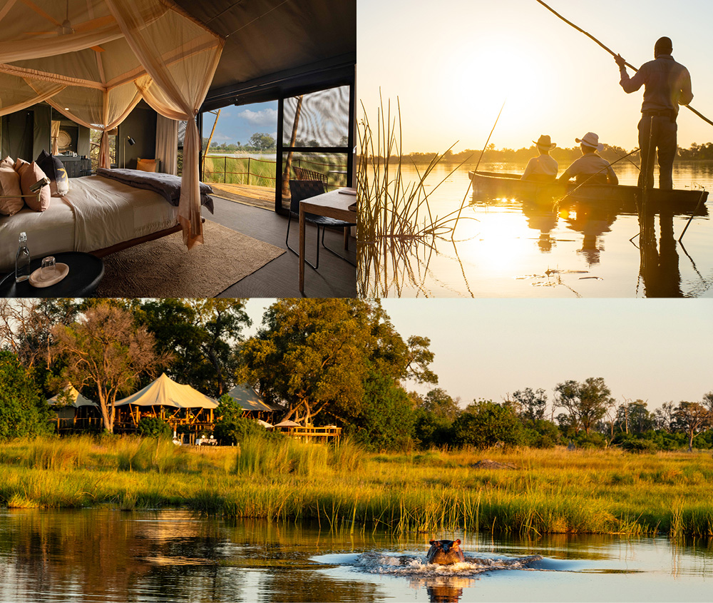 African Safari honeymoon in Botswana,mokoro and tented luxury