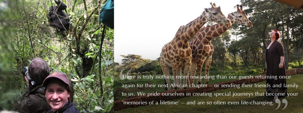 This image has an empty alt attribute; its file name is why-book-with-liesl_southern-destinations_african-safaris-2-1024x384.jpg