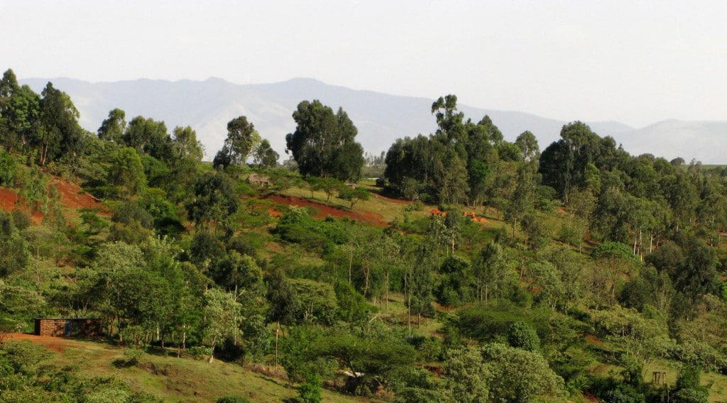 Karatu Highlands