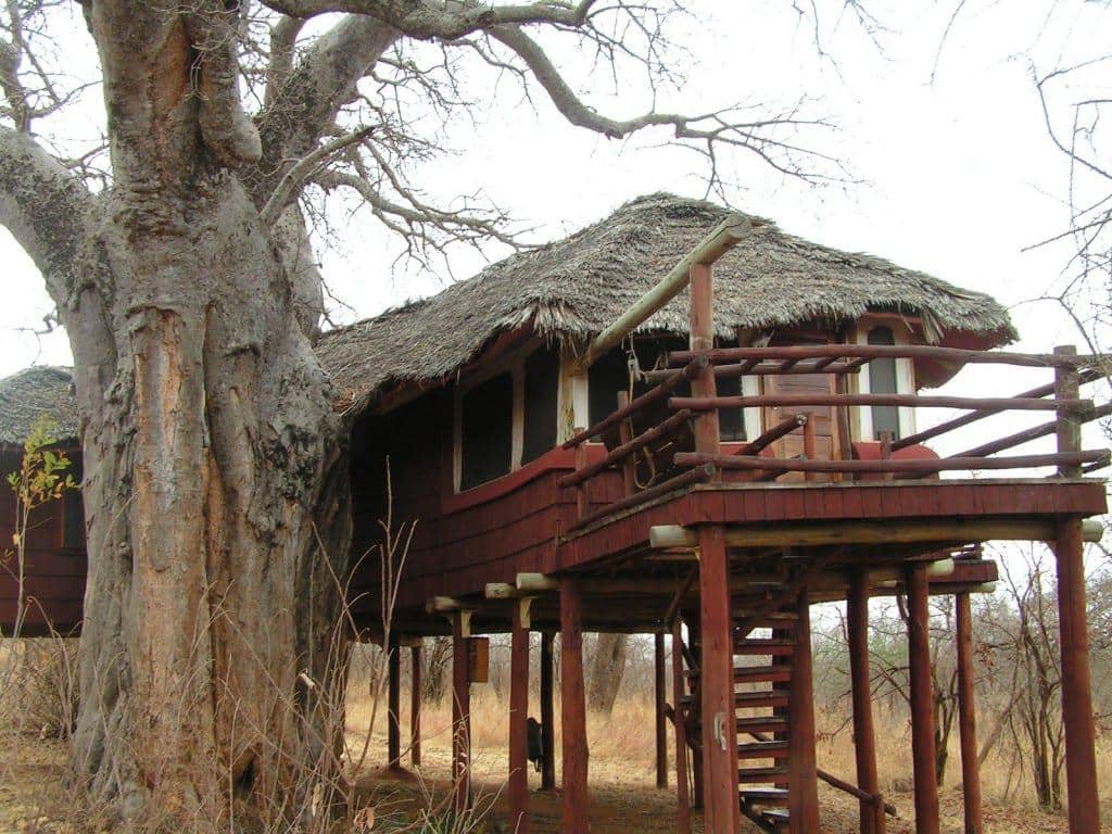 Tarangire Tree Tops