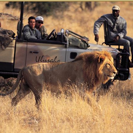 Ulusaba Safari Lodge has incredible views to sip to.