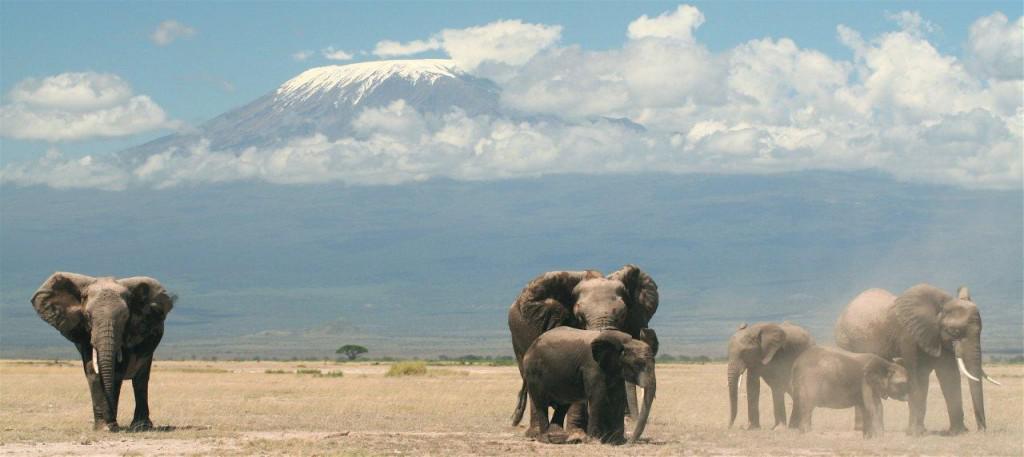 Mount Kilimanjaro