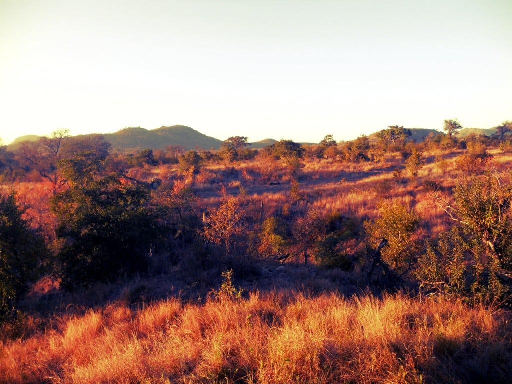 Winter in the Kruger National Park